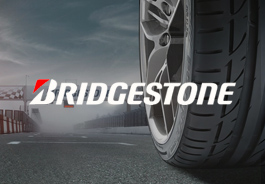 bridgestone-business-case-study-for-website-design
