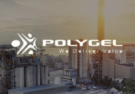 polygel-web-design-case-study