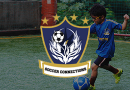 web-design-case-study