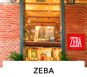 Zeba Digital Marketing Case Study